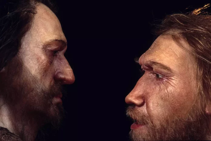 Реконструкція неандертальської людини (праворуч) на основі черепа, знайденого в скельному притулку Ла Феррассі в долині Дордонь, Франція. Він стоїть віч-на-віч з чоловіком Homo sapiens.