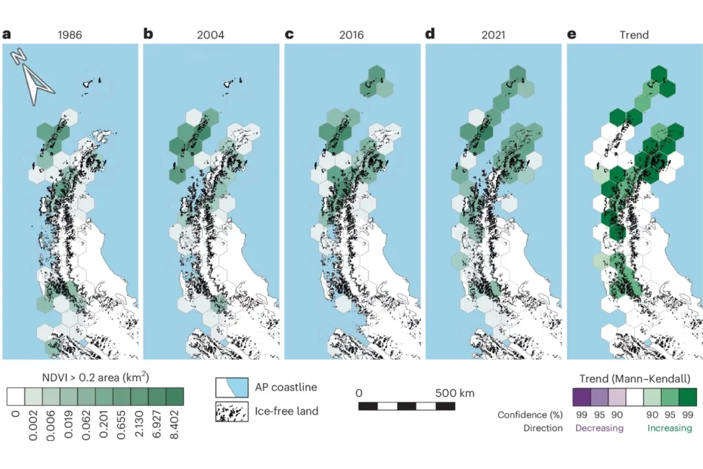 Графіка, що демонструє стрімке озеленення Антарктиди за останні 35 років